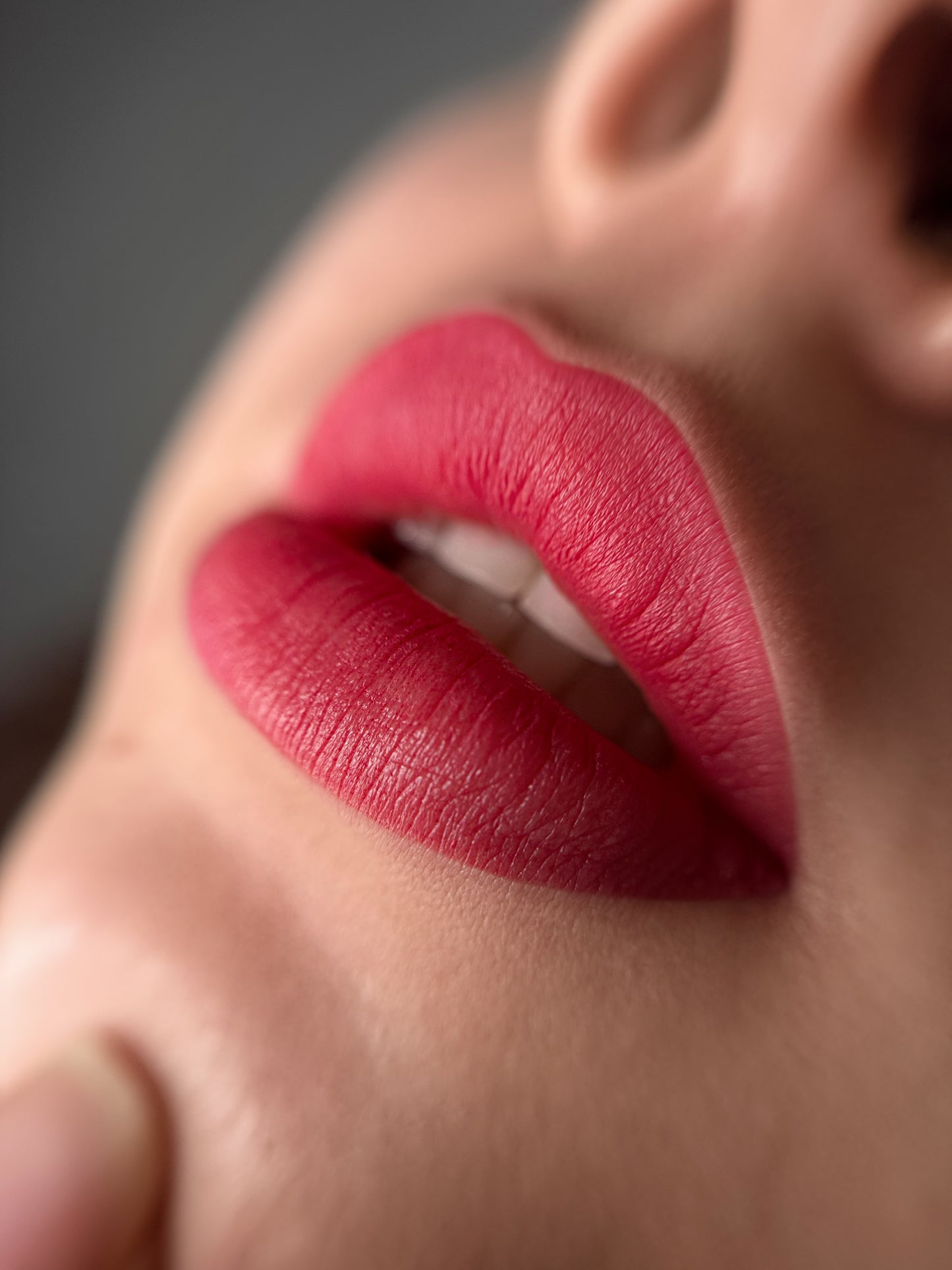  Kamidi 10 Berry Blush PMU Lippenpigment Vesna Bekic