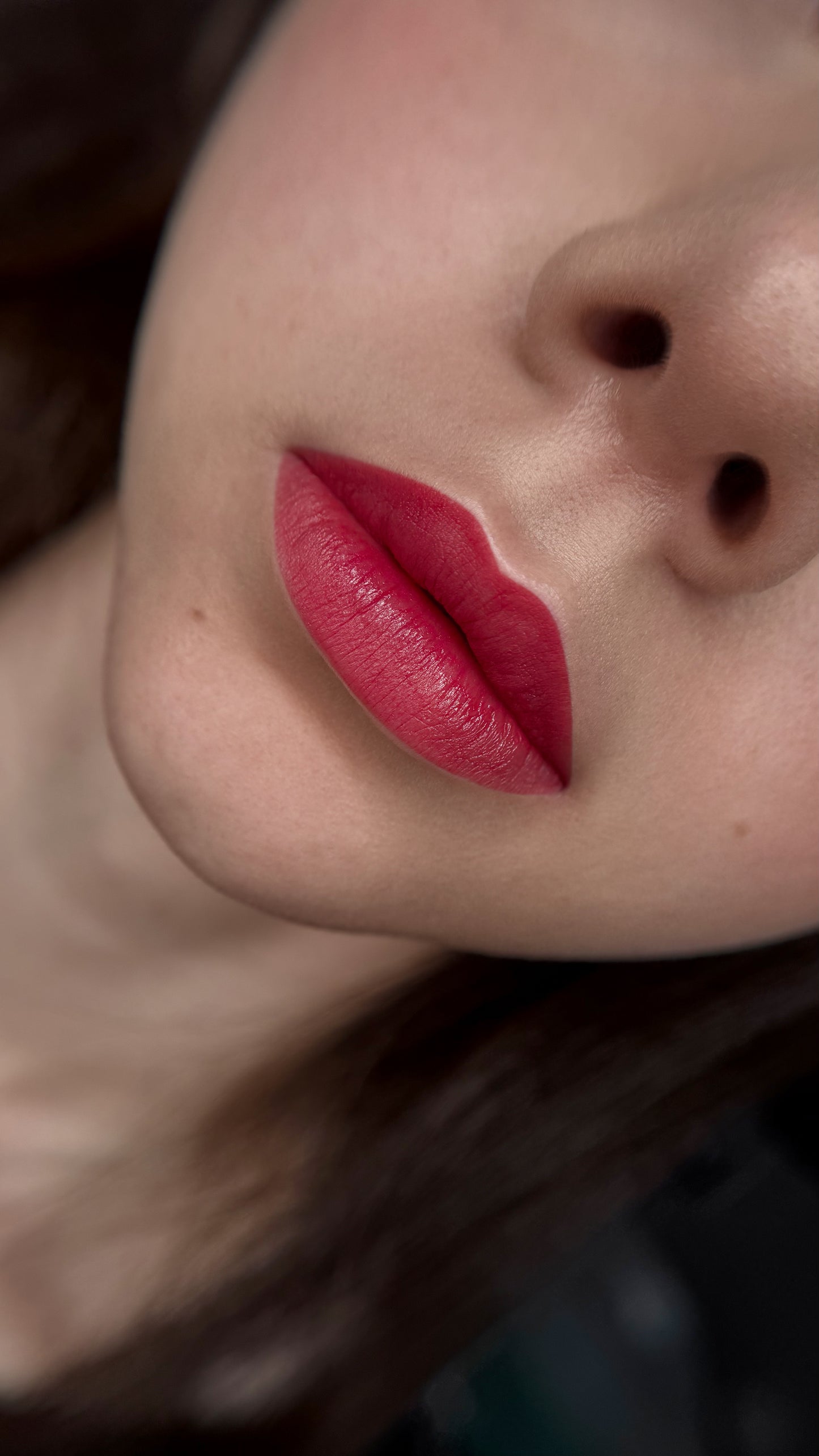  Kamidi 10 Berry Blush PMU Lippenpigment Vesna Bekic Lips
