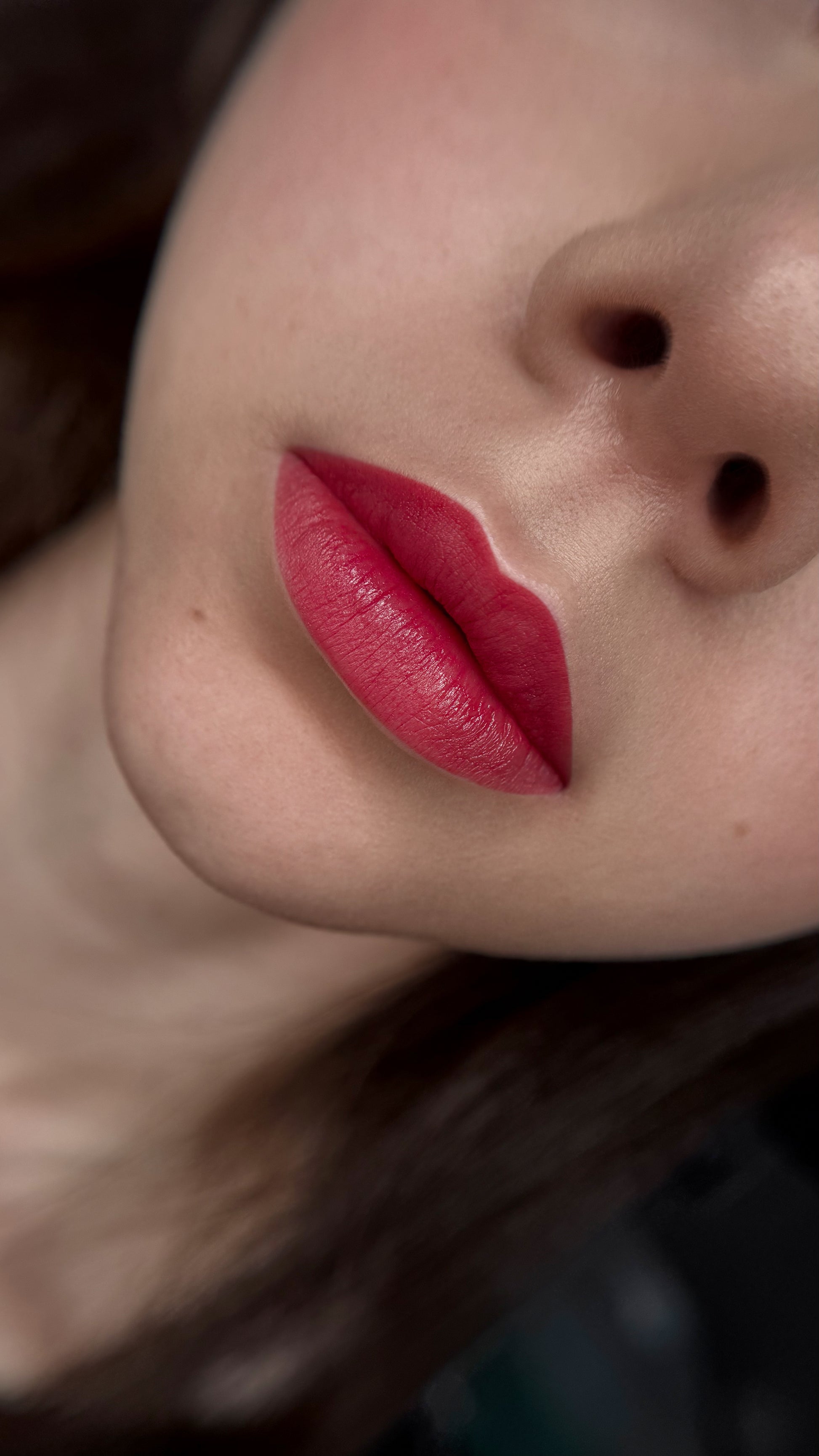  Kamidi 10 Berry Blush PMU Lippenpigment Vesna Bekic Lips