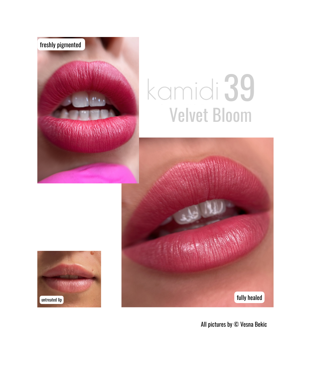 Kamidi 39 Velvet Bloom PMU Lippenpigment Vesna Bekic