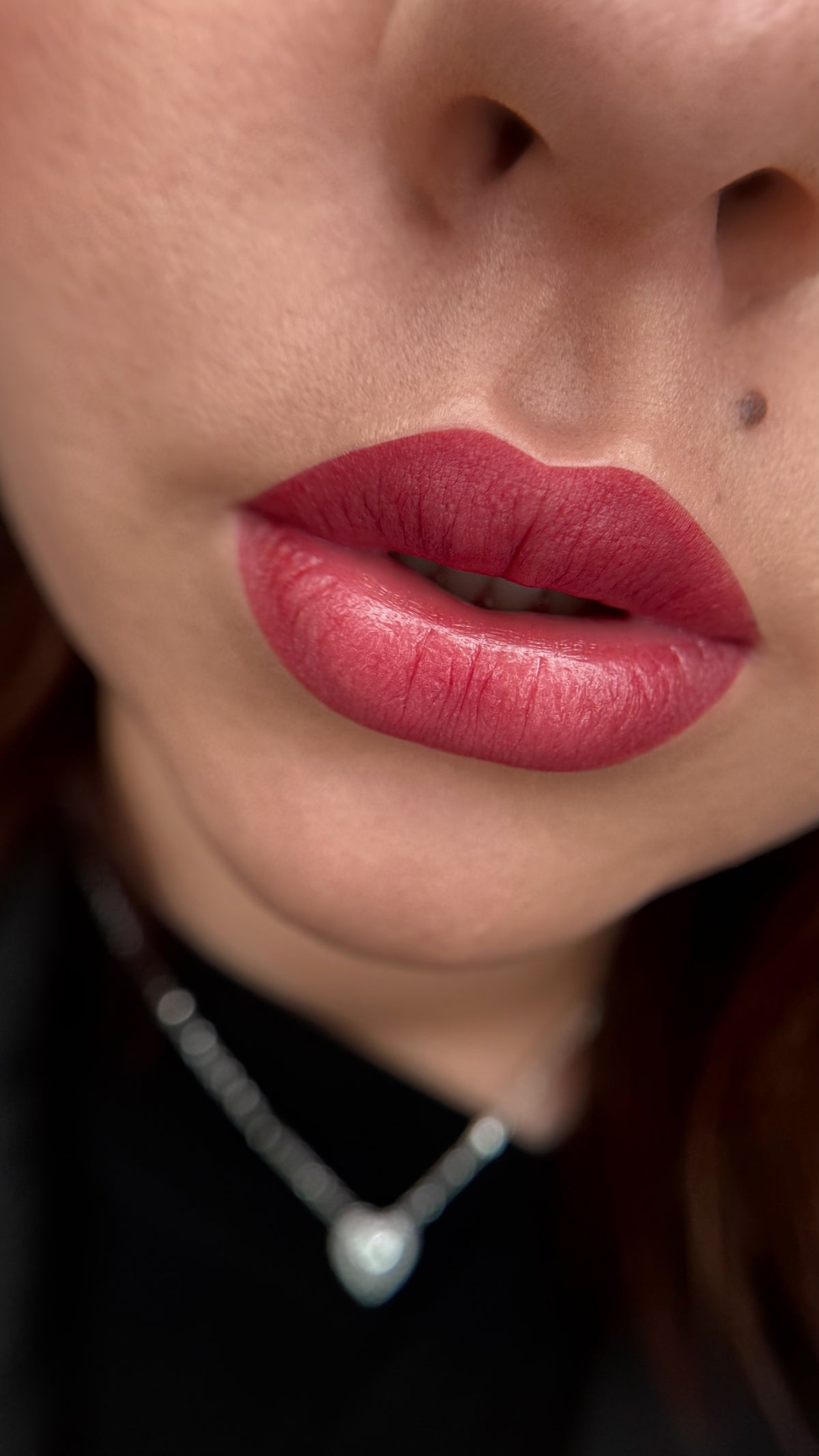 Kamidi 63 Raspberry Silk PMU Lippenpigment Vesna Bekic Lips