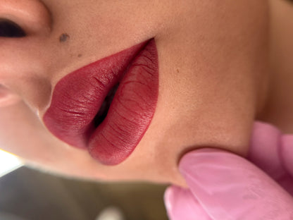 Kamidi 63 Raspberry Silk PMU Lippenpigment Vesna Bekic Lips