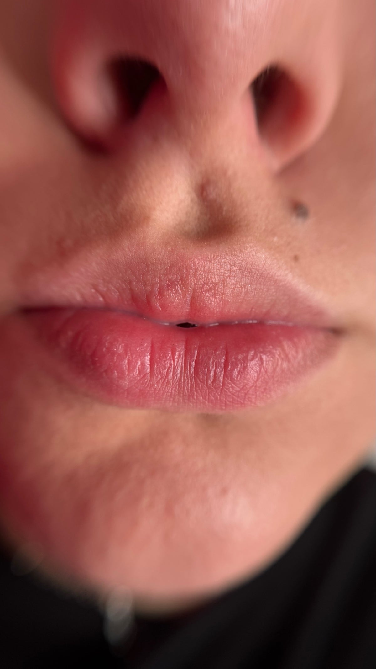 Kamidi 63 Raspberry Silk PMU Lippenpigment Vesna Bekic – Lippen vorher