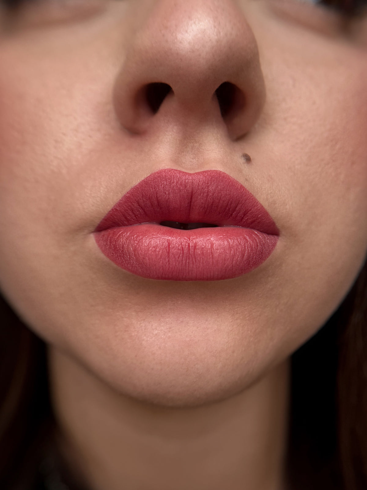 Kamidi 63 Raspberry Silk PMU Lippenpigment Vesna Bekic – Lippen frisch pigmentiert